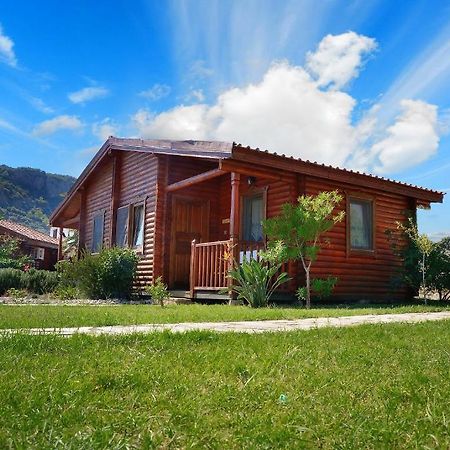 Hayitbuku Ahsapevleri Casa de hóspedes Mesudiye  Quarto foto