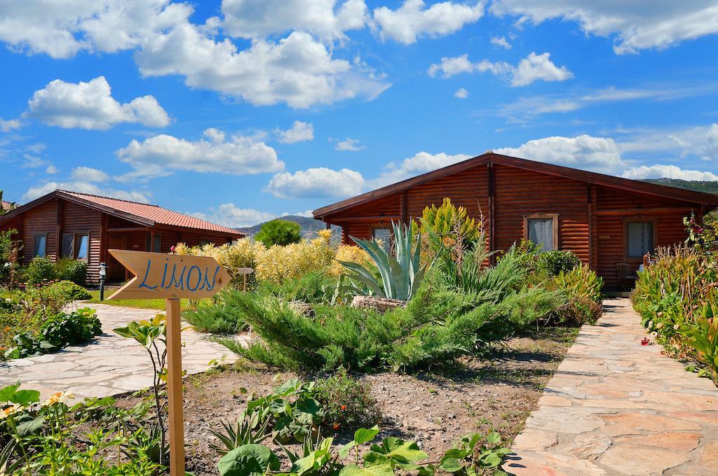 Hayitbuku Ahsapevleri Casa de hóspedes Mesudiye  Exterior foto
