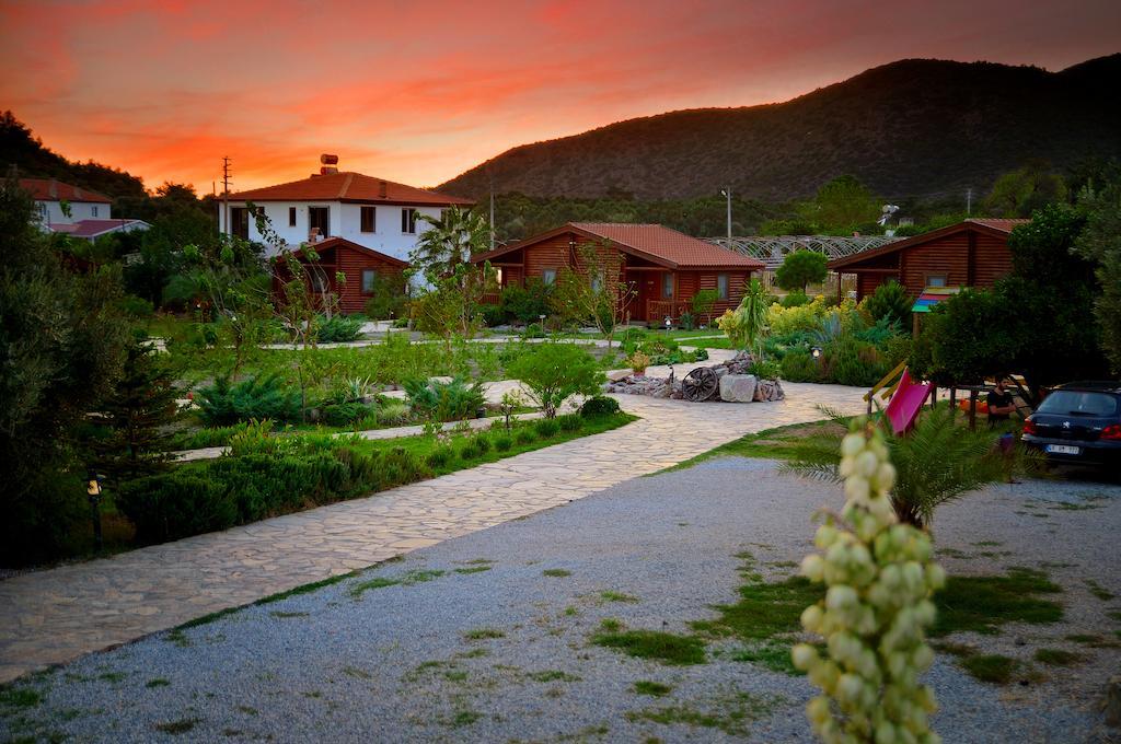 Hayitbuku Ahsapevleri Casa de hóspedes Mesudiye  Exterior foto
