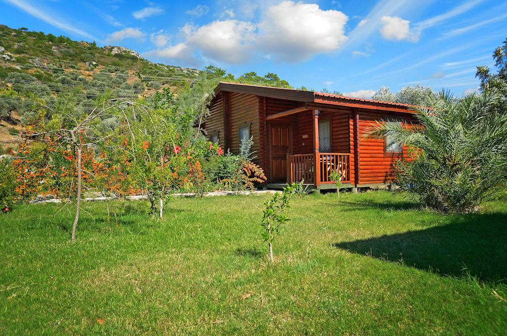 Hayitbuku Ahsapevleri Casa de hóspedes Mesudiye  Exterior foto