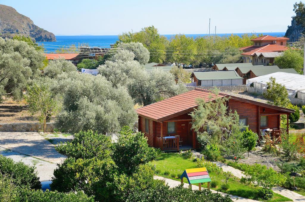 Hayitbuku Ahsapevleri Casa de hóspedes Mesudiye  Exterior foto