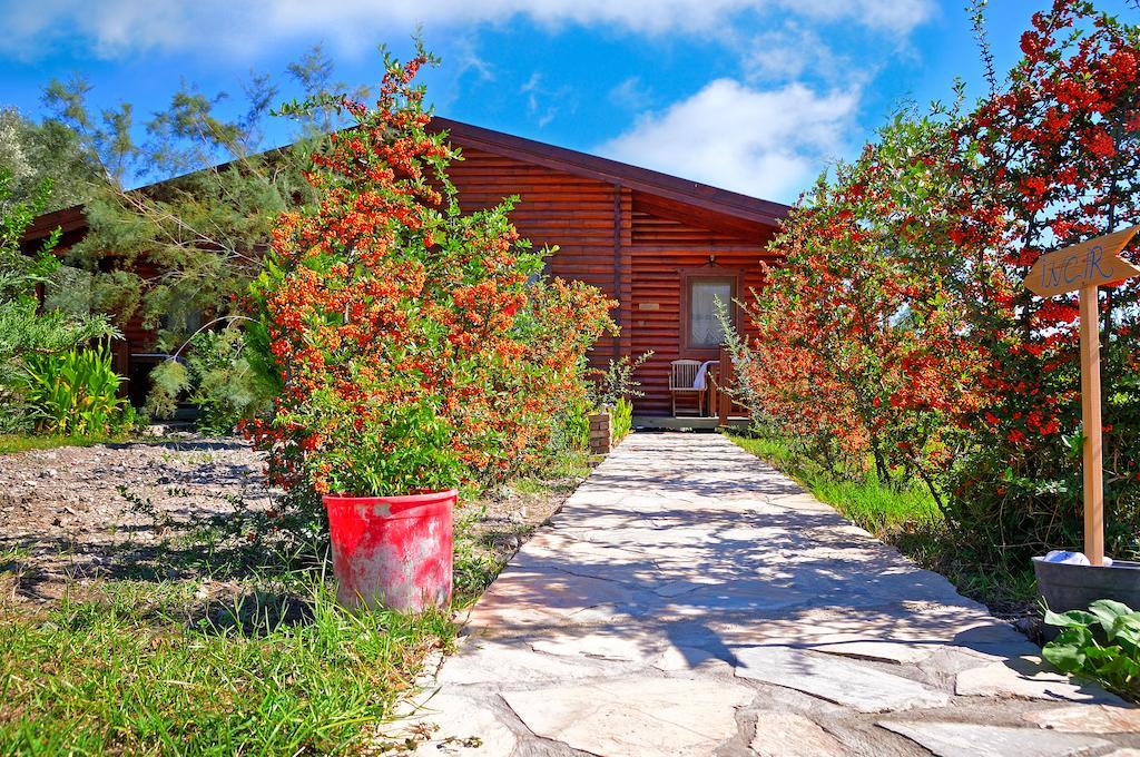 Hayitbuku Ahsapevleri Casa de hóspedes Mesudiye  Exterior foto