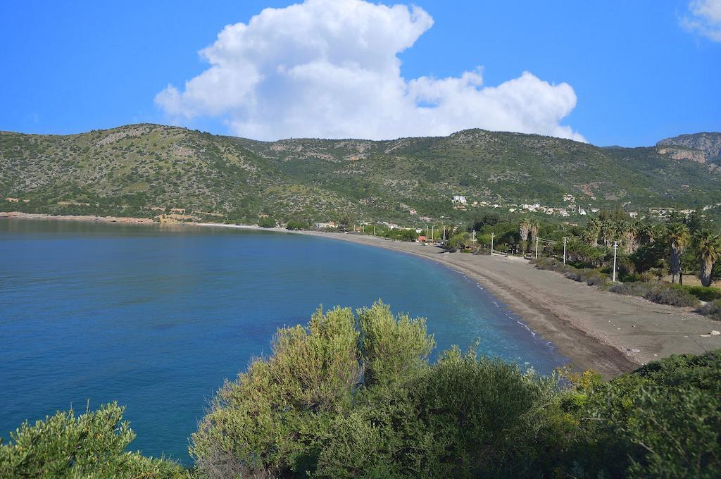 Hayitbuku Ahsapevleri Casa de hóspedes Mesudiye  Exterior foto