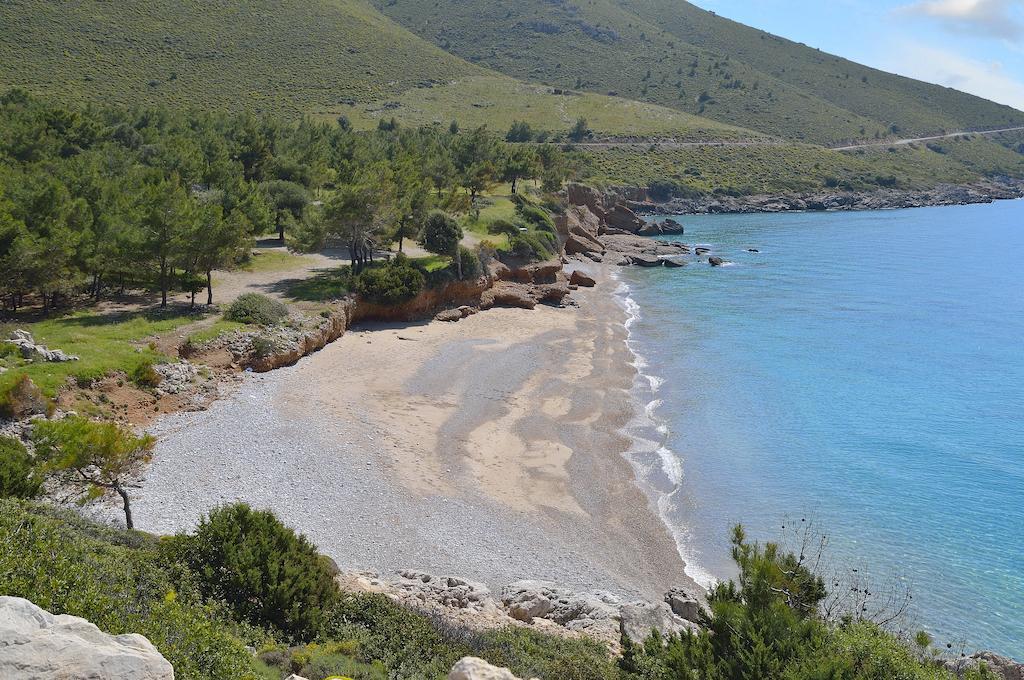Hayitbuku Ahsapevleri Casa de hóspedes Mesudiye  Exterior foto