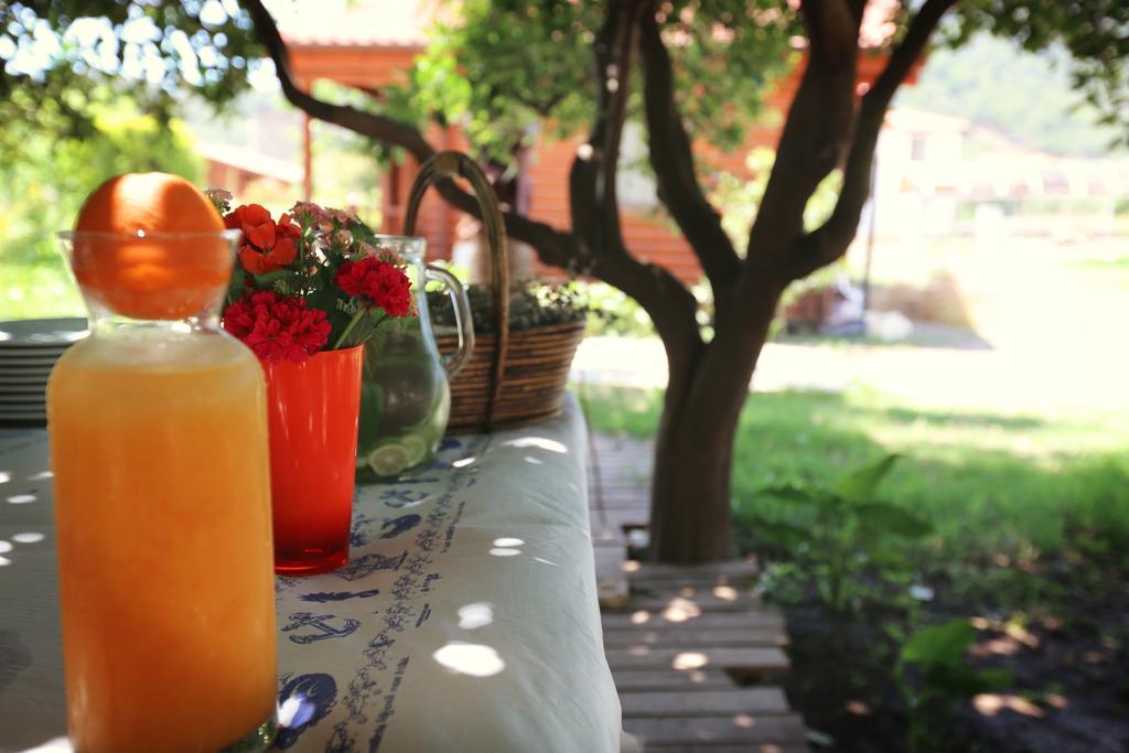 Hayitbuku Ahsapevleri Casa de hóspedes Mesudiye  Exterior foto