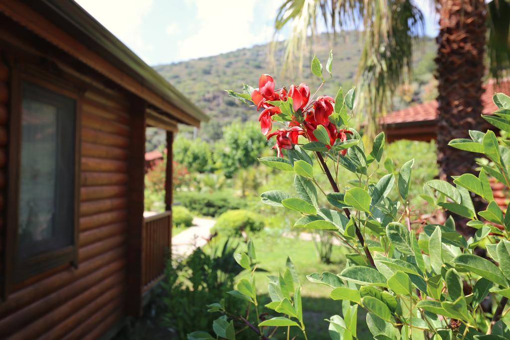 Hayitbuku Ahsapevleri Casa de hóspedes Mesudiye  Exterior foto