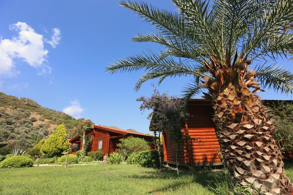 Hayitbuku Ahsapevleri Casa de hóspedes Mesudiye  Exterior foto