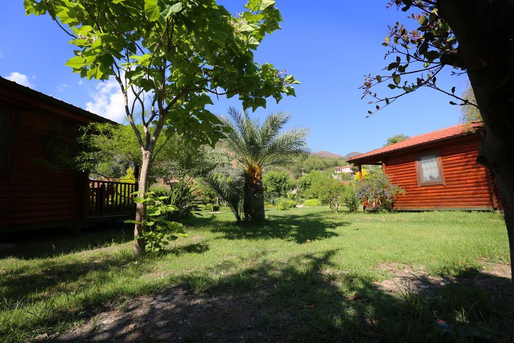 Hayitbuku Ahsapevleri Casa de hóspedes Mesudiye  Exterior foto