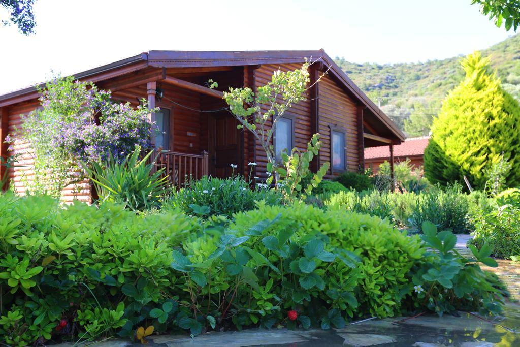 Hayitbuku Ahsapevleri Casa de hóspedes Mesudiye  Exterior foto