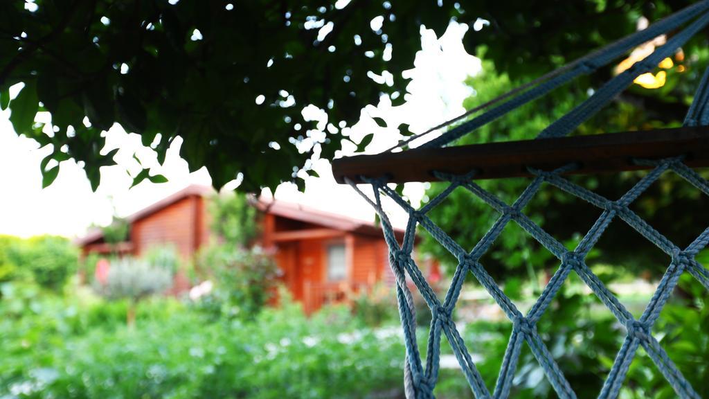 Hayitbuku Ahsapevleri Casa de hóspedes Mesudiye  Exterior foto