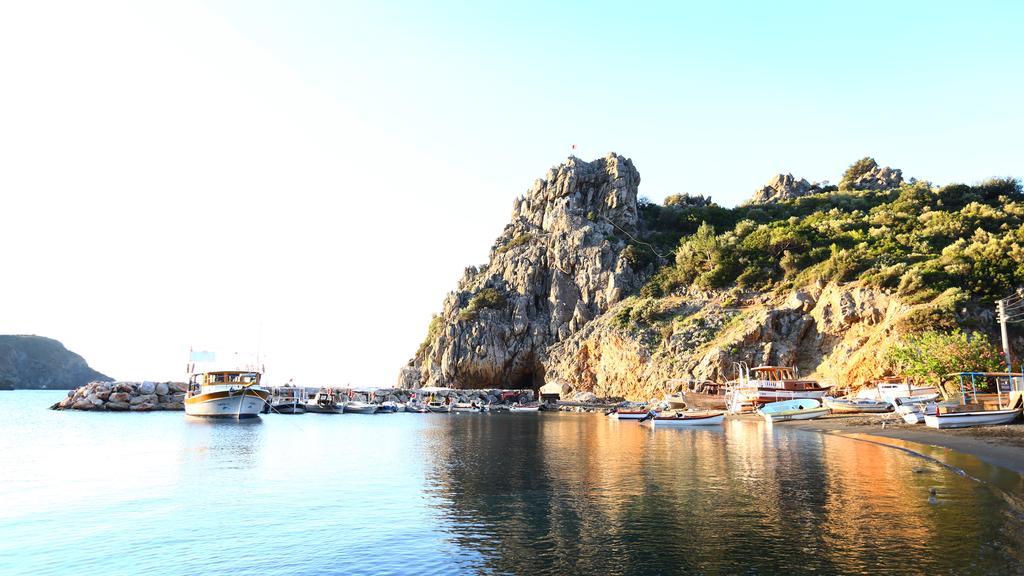 Hayitbuku Ahsapevleri Casa de hóspedes Mesudiye  Exterior foto
