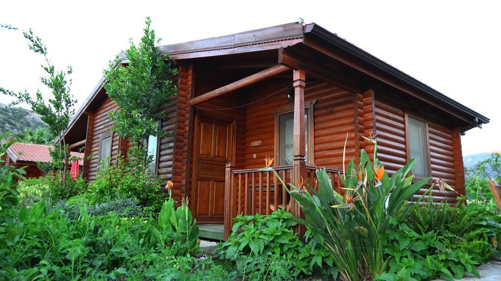 Hayitbuku Ahsapevleri Casa de hóspedes Mesudiye  Exterior foto