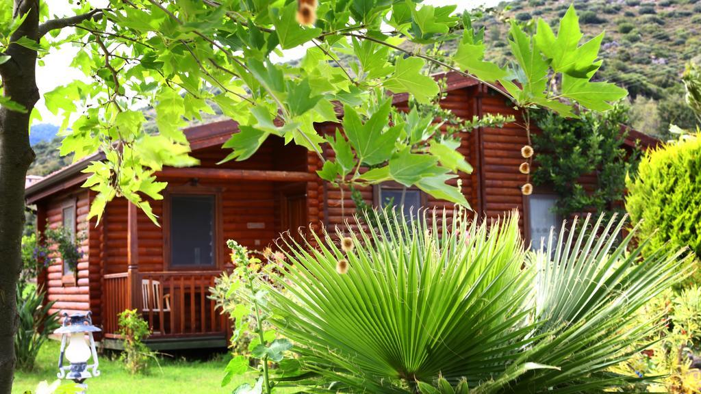 Hayitbuku Ahsapevleri Casa de hóspedes Mesudiye  Exterior foto